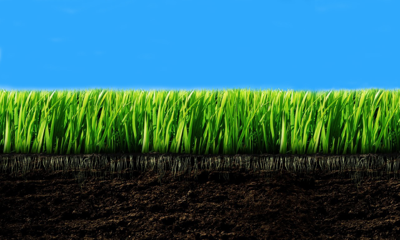 Grass with soil background image